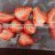 Quick Deep IQF Frozen Fruit Whole Strawberry