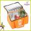 big capacity insulated bright color food cooler