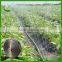 agricultural farm land project drip irrigation system price