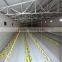 Automatic Chicken Feeding System From China Manufacturer/silo feeding system