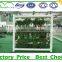 Low Cost Greenhouse Hydroponica