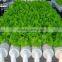 HDPE LDPE irrigation pipe