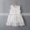 Summer new style lace embroidery kids clothes girls dresses baby