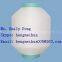 Nylon Yarn DTY 70D/34F/2