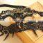 high quality lace masks P-M120