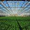 200 Micron uv Treated Clear Greenhouse Plastic Film/100% Virgin LDPE/PE Tunnel Greenhouse Cover for Sale Philippines