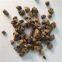 4-8 8-16 10-20 Mesh Nature Rock almandine garnet sand for water treatment