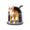 New Arrival Latest Design Cat Grooming, Cat Play Arch