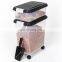 Wholesale Factory Manufacturer Plastic Tin Cat Pet Dog Food Storage Container