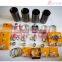 Cat C4.4 Rebuild kit Piston Ring Liner Bearing Gasket