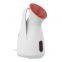 2021 New style multifunction portable nano face steamer professional handy facial steamer