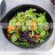 Food Grade Plastic Disposable Salad Bowls with Lids