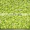 Sinocharm Frozen vegetable Premium variety Organic IQF Soybean Kernels Frozen Shelled Edamame