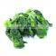 Hot-selling IQF Frozen Green Rape Flower
