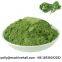 Green Superfood Kale Powder Wholesale Price
