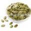 Highly Recommended Pumpkin Seeds Green Squash Seeds for south africa