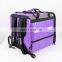 Wholesale Fast Food Insulated Thermal Insulated Backpacks For Delivery