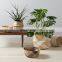 Vietnam Supplier Large Diamond Set Of 3 Seagrass Belly Basket Plant Holder Storage Basket Decor Home Wholesale