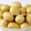 Potato washing/drying/sorting/grading machine