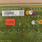 ABB DSTX 170 57160001-ADK Connection Unit