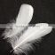 wholesale nature goose feather carnival for party trims