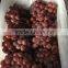 2016 new crop fresh red grape