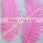 Large Pink Bulk Cheap Ostrich Feather For Wedding Decoration Centerpieces