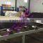 HDPE Drainage sheet Making Machine