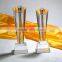 Customized acrylic trophy crafts free LOGO