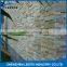 Monitoring the whole process large supply ability no scratch quartz stone