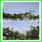 Promation High Quality Knitted Fruit Tree Anti Hail Net made in China