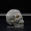 resin kull human head skull model