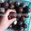 Natural Rock Polished Pietersite Stone Balls Quartz Crystal Spheres