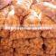 supply fresh vegetables ,high quality fresh potatoes for sale