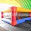 Large Enclosed Ball Pond Inflatable For Sale
