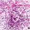 School teaching educational prepared slides of human histology set