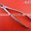 Dental Extracting Forceps | Extraction Forceps Set