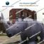 Inflatable simulation rhino animal for advertising