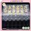 24 holes disposable clear plastic quail egg tray