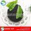 High Quality Humic Acid Leonardite Extract