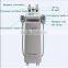  Express Cryolipolysis Fat Freezing Slimming Machine/cryolipolysis Weight Loss Weight Loss/slim Freezer Weight Loss/fat Freeze Belt Body Slimming
