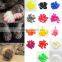 2017 New Pet Nail Caps Dog Nail Caps Cat Nail Caps