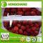 A 13 Strawberry Grade A Frozen Strawberry