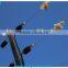 High quality double galvanization iron steel metal poles for electric fence system