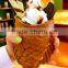 Korean Ice Cream Fish Waffle Machine Taiyaki Machine