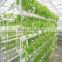 Agriculture /garden Commercial Greenhouse For Sale