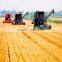 4LZ-3.0 Wheat Combine Harvester Machine