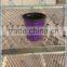 Nursery Plant Net Layer Flower Trolley Cart for sale