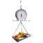 Double dial type weighing scale with tray