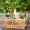 Hot selling Envirenmental bamboo flower pot